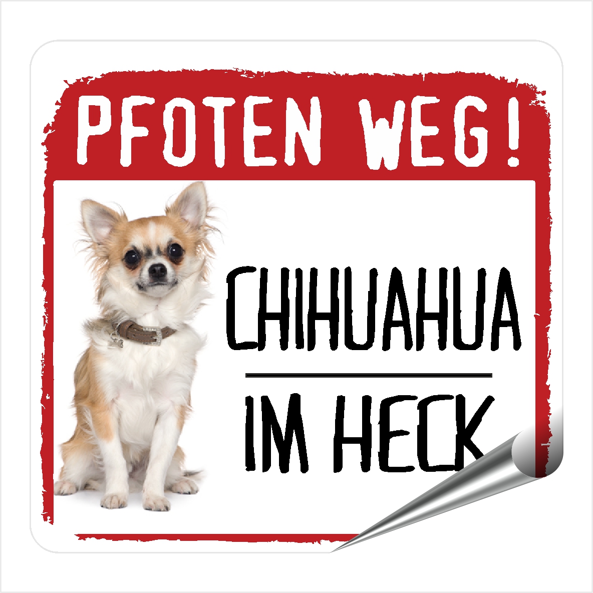 Chihuahua Chi Chis Schiwawa Aufkleber PFOTEN WEG Hundeaufkleber Folie Hund