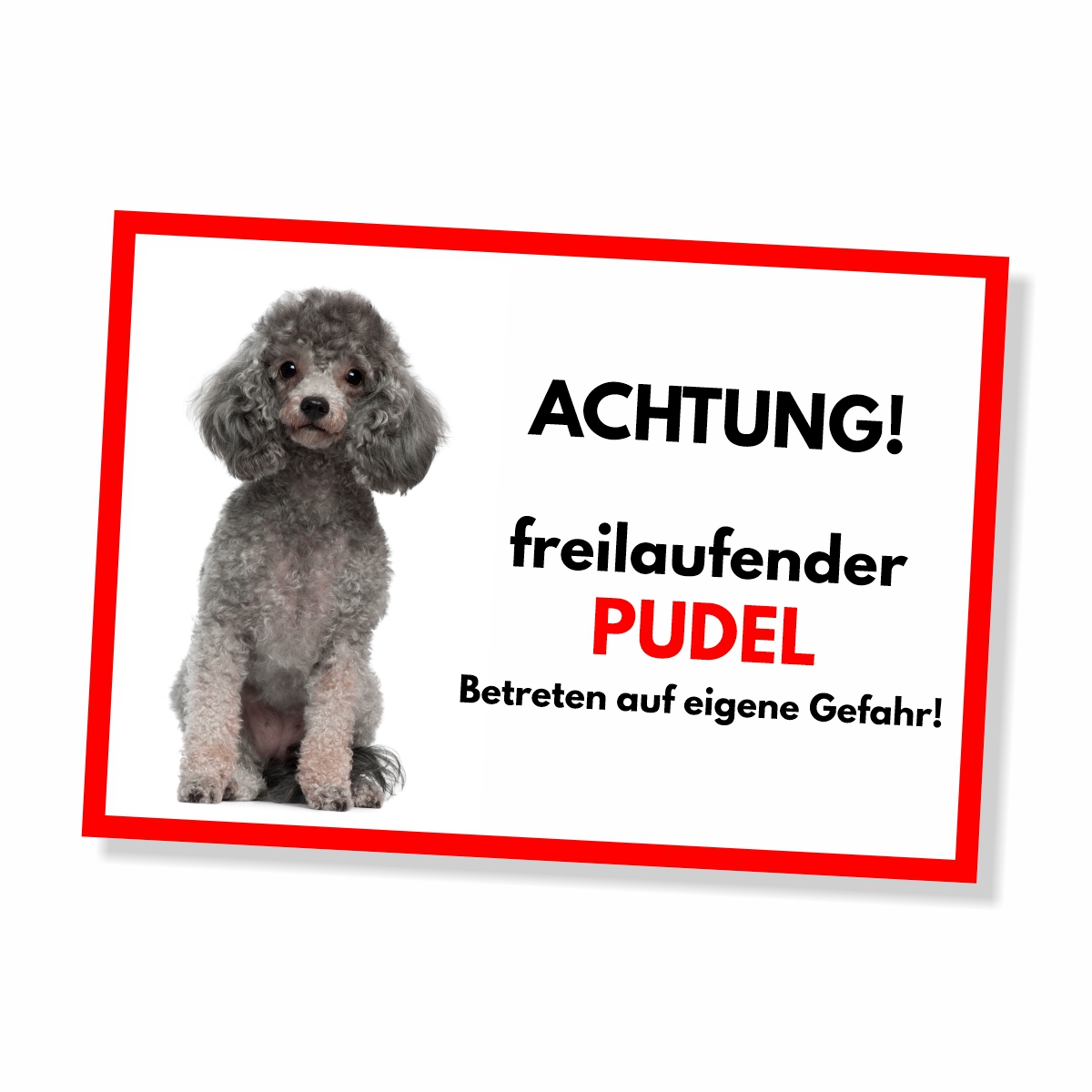 Pudel Grau Freilaufender Hund Dog Schild Spruch Türschild Hundeschild Warnschild