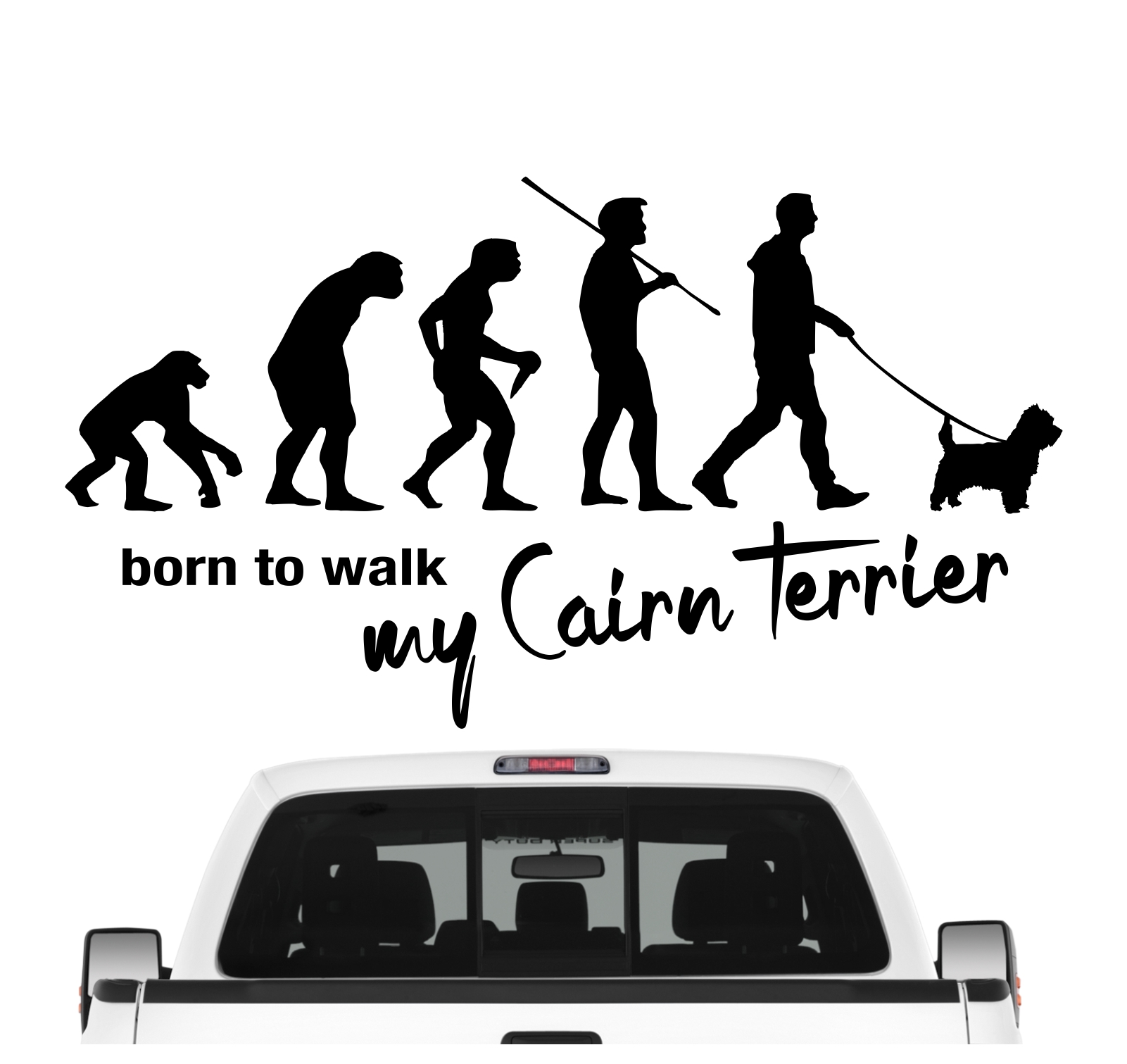 Cairn Terrier Kern Evolution Born to Walk Hunde Aufkleber Sticker Autoaufkleber Wandtattoo Tattoo