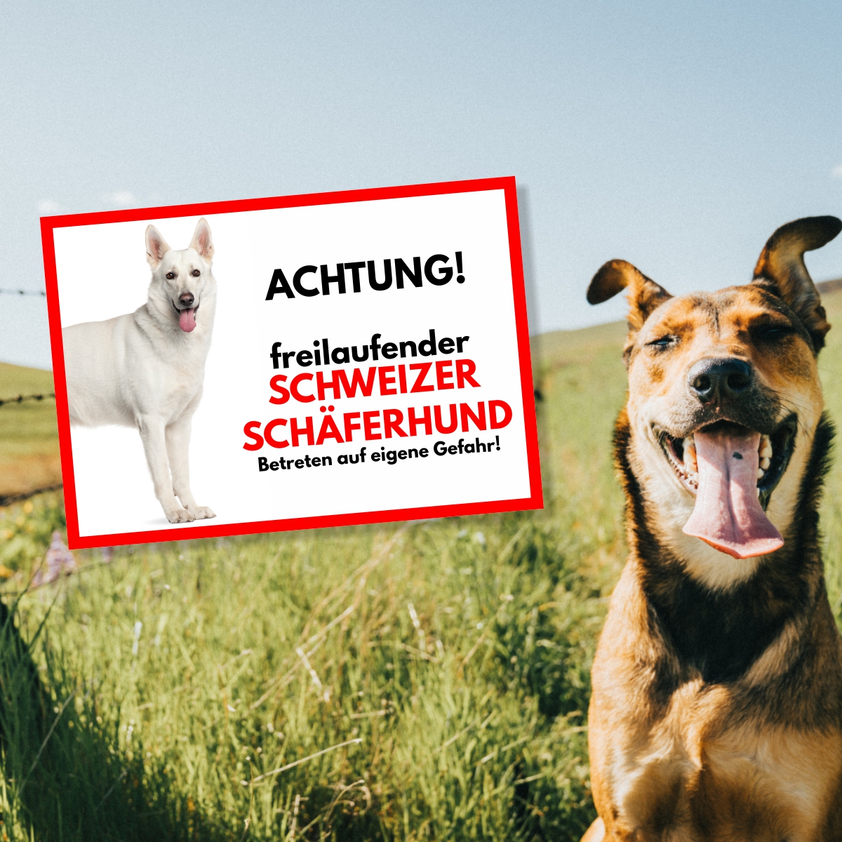 Schweizer Schäferhund Freilaufender Hund Dog Schild Spruch Türschild Hundeschild Warnschild