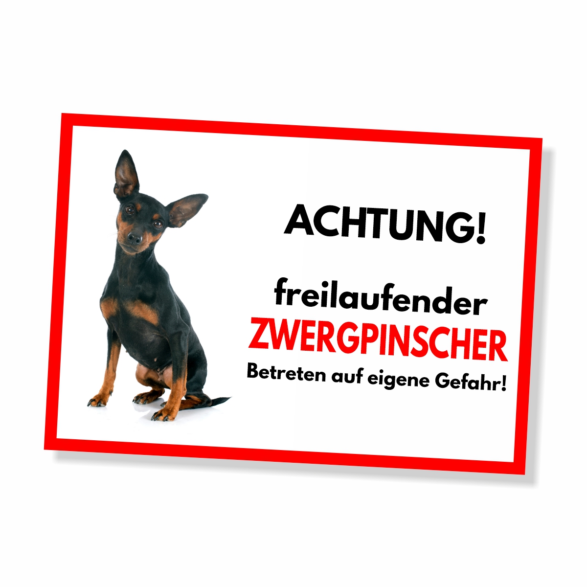 Zwergpinscher Freilaufender Hund Dog Schild Spruch Türschild Hundeschild Warnschild