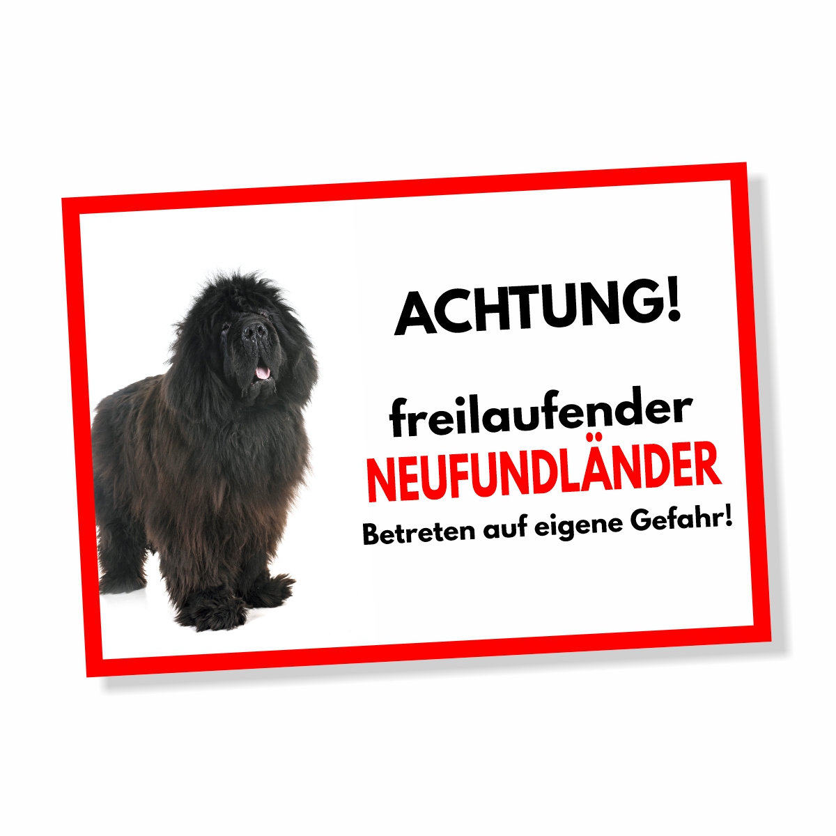 Neufundländer Freilaufender Hund Dog Schild Spruch Türschild Hundeschild Warnschild