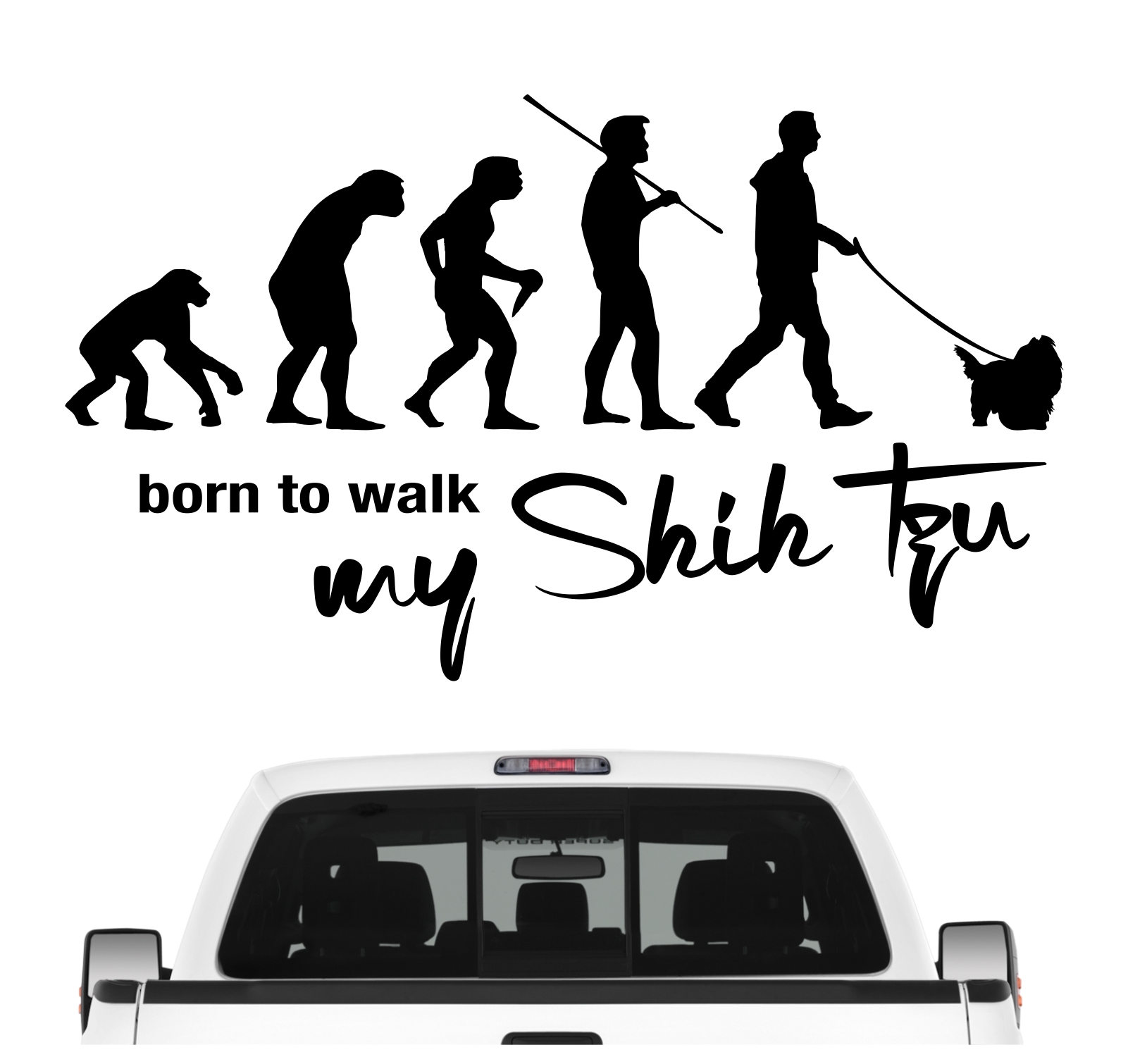 Shih Tzu Tibet Chinese Lion Dog Chrysanthemum Dog Born to Walk Hunde Aufkleber Sticker Autoaufkleber Wandtattoo Tattoo
