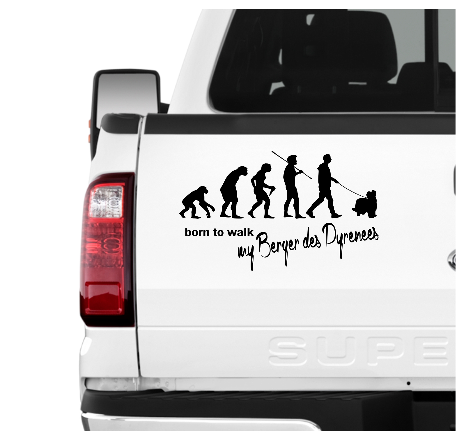 Berger des Pyrenees Petit Berger Pyr Shep Pyrenäen-Schäferhund Evolution Born to Walk Hunde Aufkleber Sticker Autoaufkleber Wandtattoo Tattoo