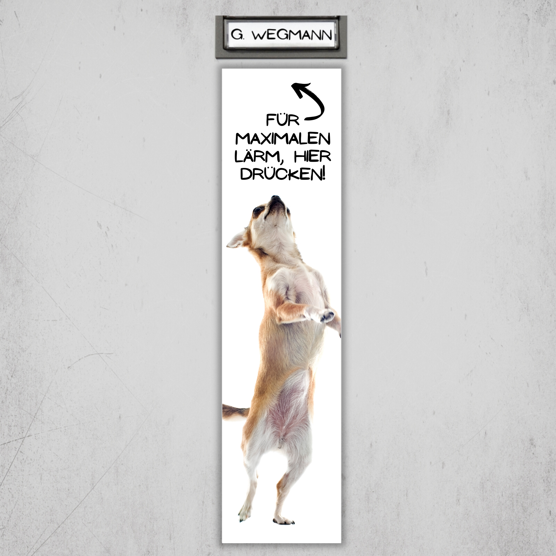 Chihuahua Chi Chis Kurzhaar Motiv  Chiwawa dog  Schiwawa Dog Türschild Warnschild Hundeschild Schildr happy Design by Siviwonder