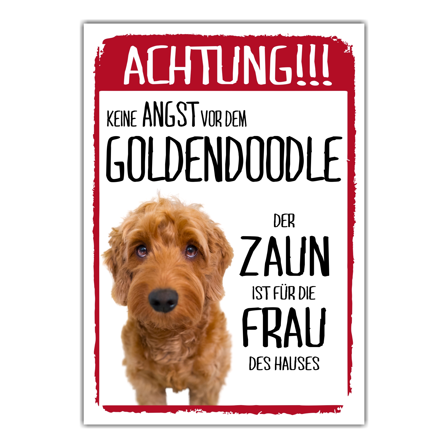 Goldendoodle Dog Schild Achtung Zaun Frau Spruch Türschild Hundeschild Warnschild Fun