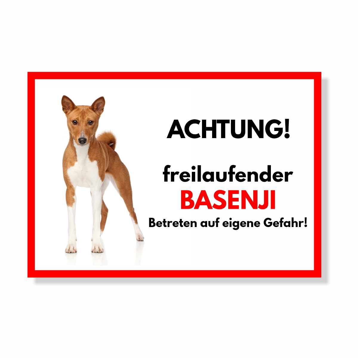 Basenji Freilaufender Hund Dog Schild Spruch Türschild Hundeschild Warnschild
