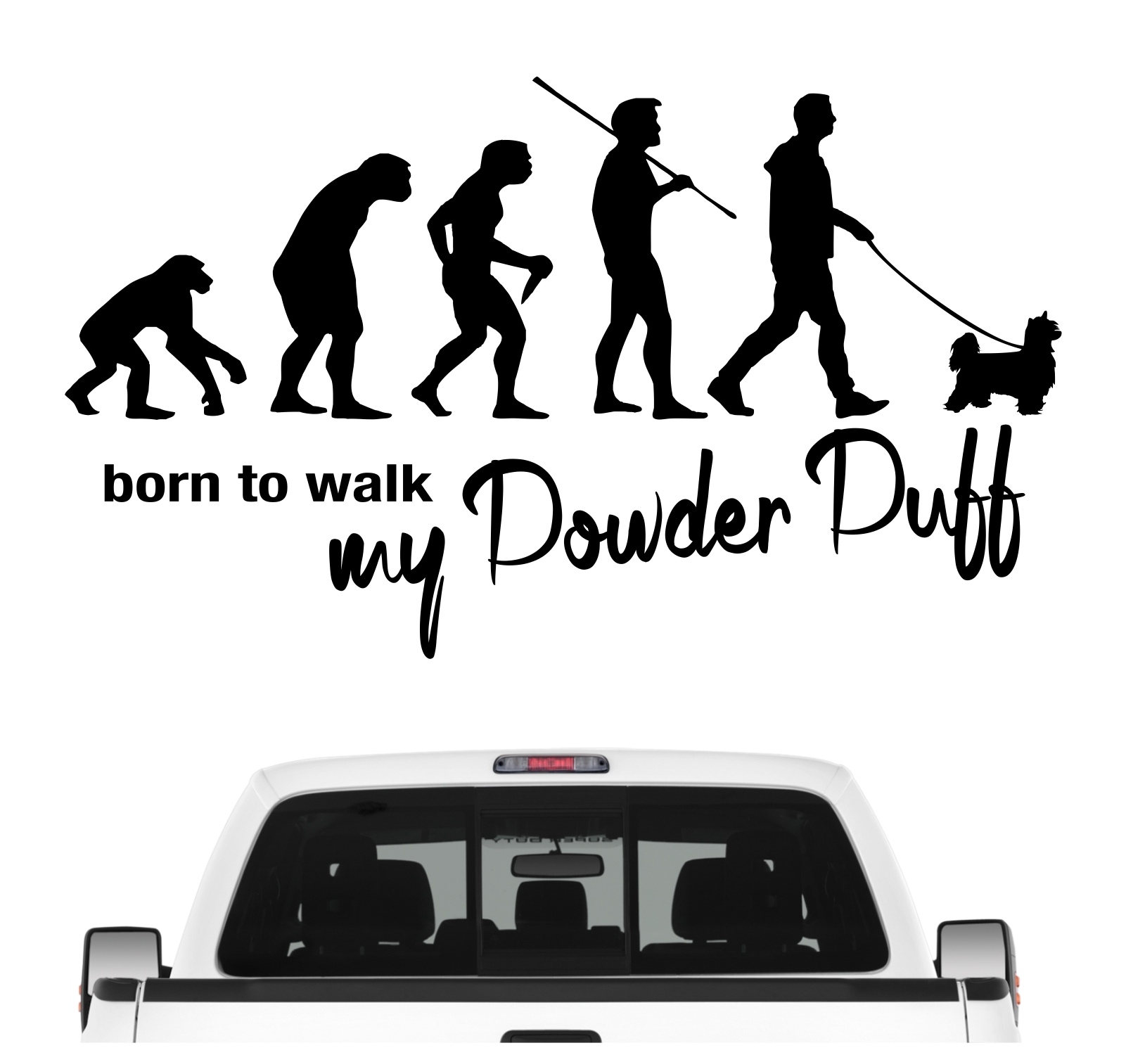 Powder Puff Powderpuff Chinese Crested Chinesischer Schopfhund Evolution Born to Walk Hunde Aufkleber Sticker Autoaufkleber Wandtattoo Tattoo