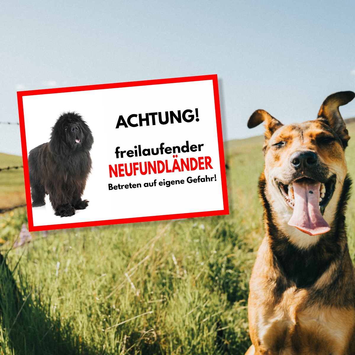 Neufundländer Freilaufender Hund Dog Schild Spruch Türschild Hundeschild Warnschild