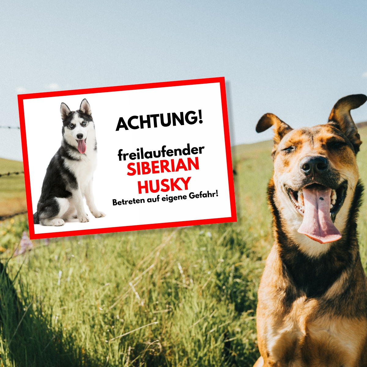 Husky Freilaufender Hund Dog Schild Spruch Türschild Hundeschild Warnschild