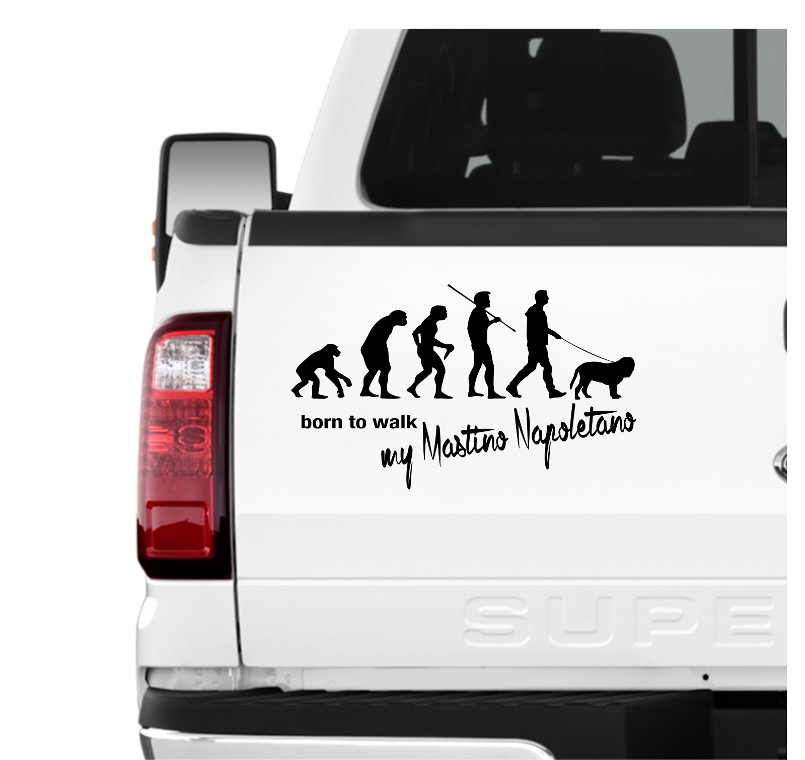 Mastino Napoletano  Italian Bulldog Presa Mastiff Cane Evolution Born to Walk Hunde Aufkleber Sticker Autoaufkleber Wandtattoo Tattoo