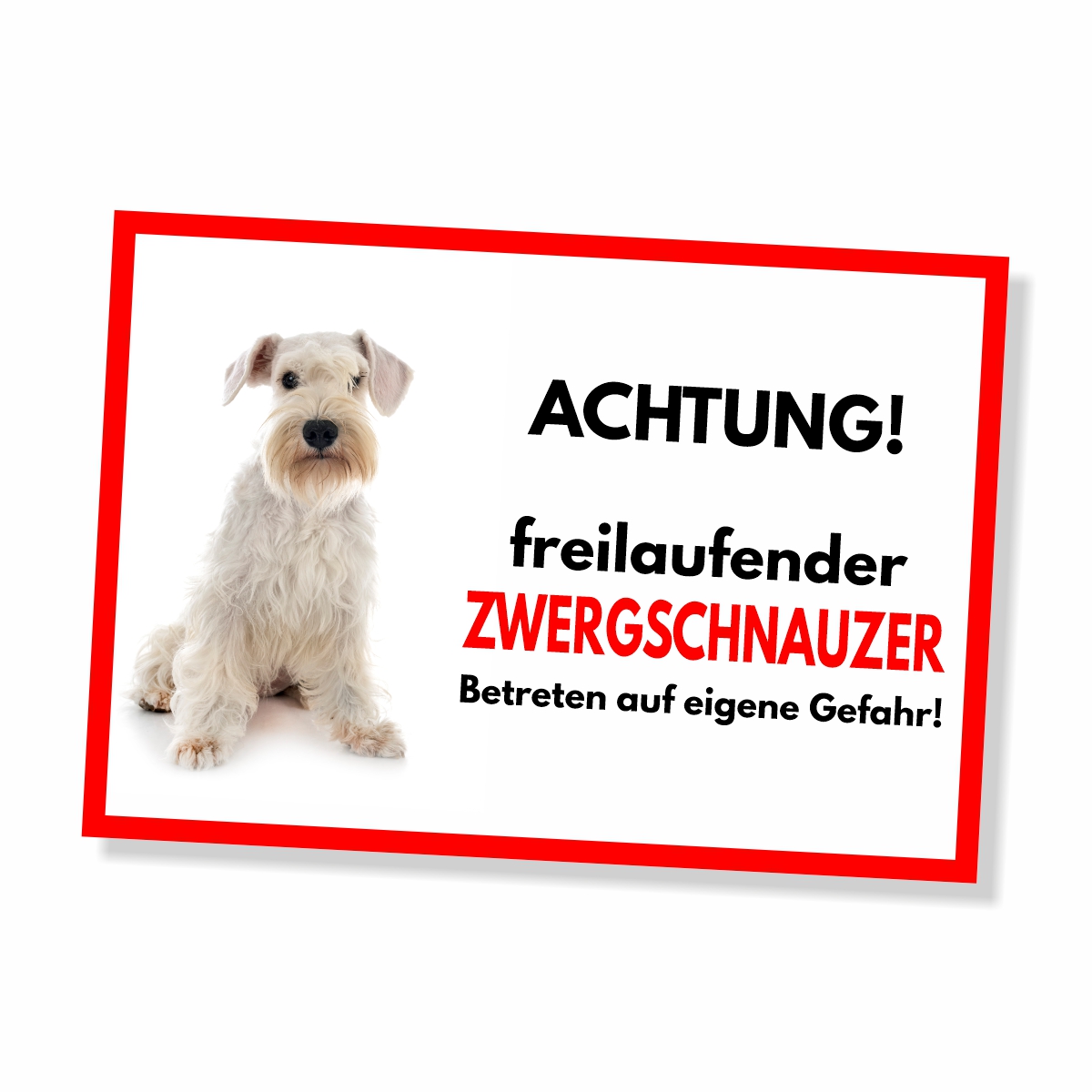 Zwergschnauzer 3 Freilaufender Hund Dog Schild Spruch Türschild Hundeschild Warnschild
