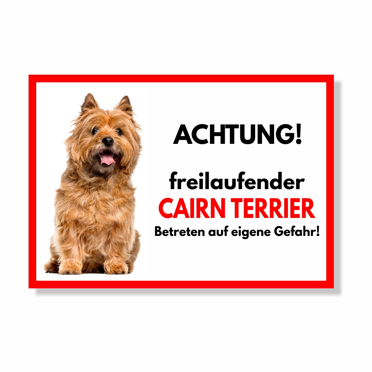 Cairn Terrier Hell Freilaufender Hund Dog Schild Spruch Türschild Hundeschild Warnschild