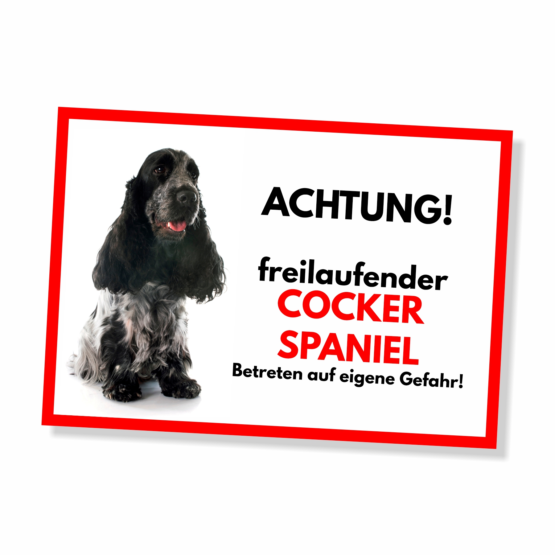 Cocker Spaniel 2 Freilaufender Hund Dog Schild Spruch Türschild Hundeschild Warnschild