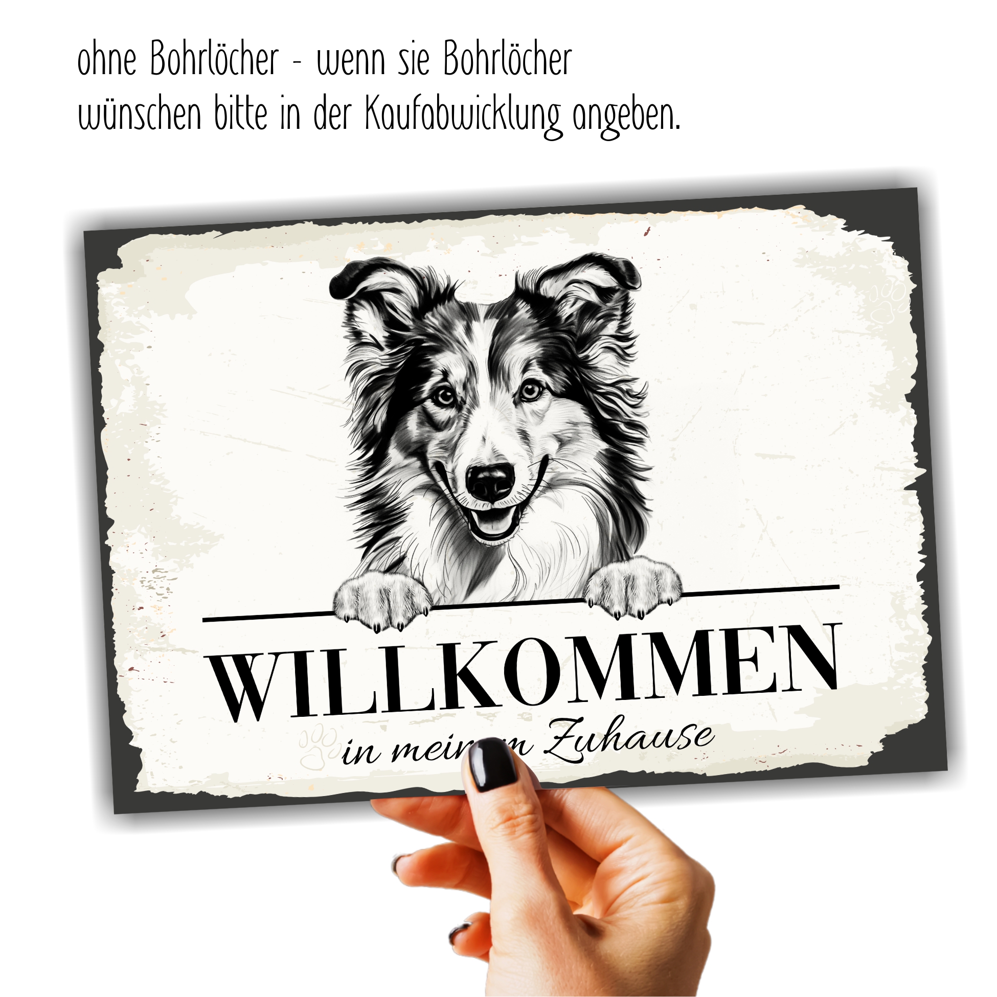 Hundeschild Willkommen Zuhause Sheltie Shetland Sheepdog Schild Achtung