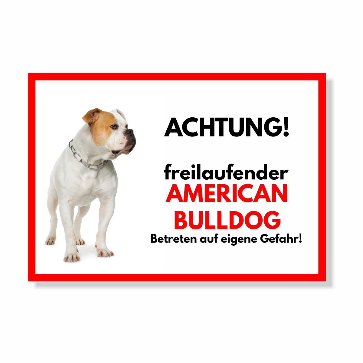 American Bulldog Freilaufender Hund Dog Schild Spruch Türschild Hundeschild Warnschild