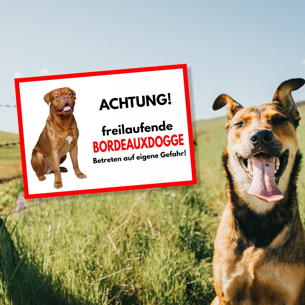 Bordeauxdogge Freilaufender Hund Dog Schild Spruch Türschild Hundeschild Warnschild