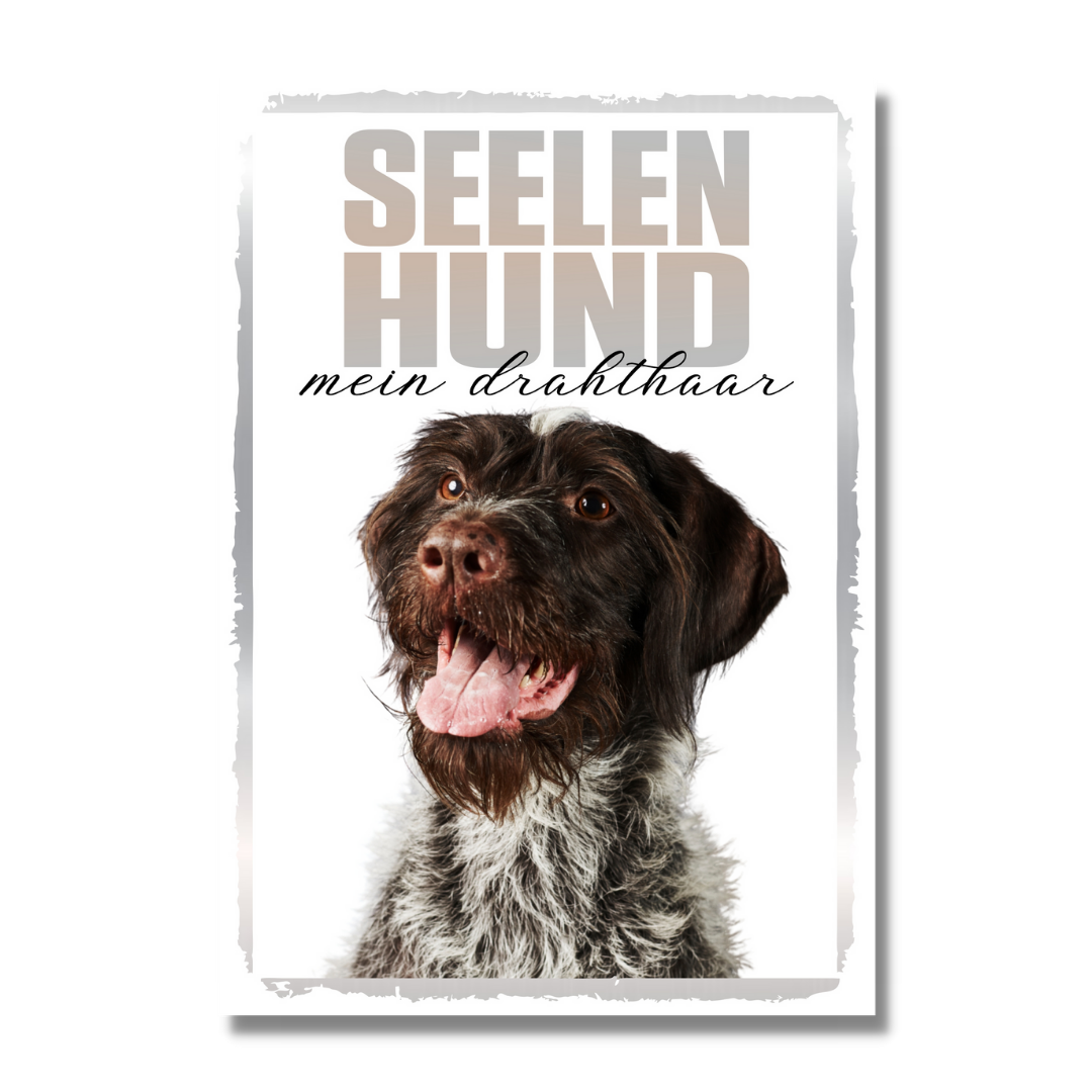 Deutsch Drahthaar Seelenhund Dog Schild Spruch Türschild Hundeschild Warnschild Soulmate