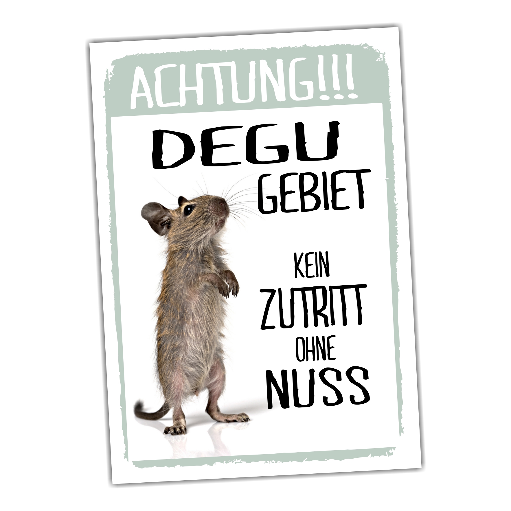 Degu Gebiet Kein Zutritt ohne Möhrchen Türschild Warnschild Spruch Schild happy Design by Siviwonder