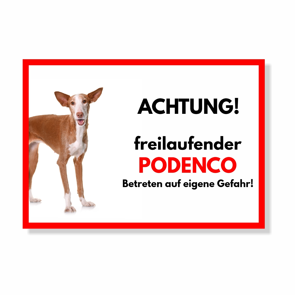 Podenco Freilaufender Hund Dog Schild Spruch Türschild Hundeschild Warnschild