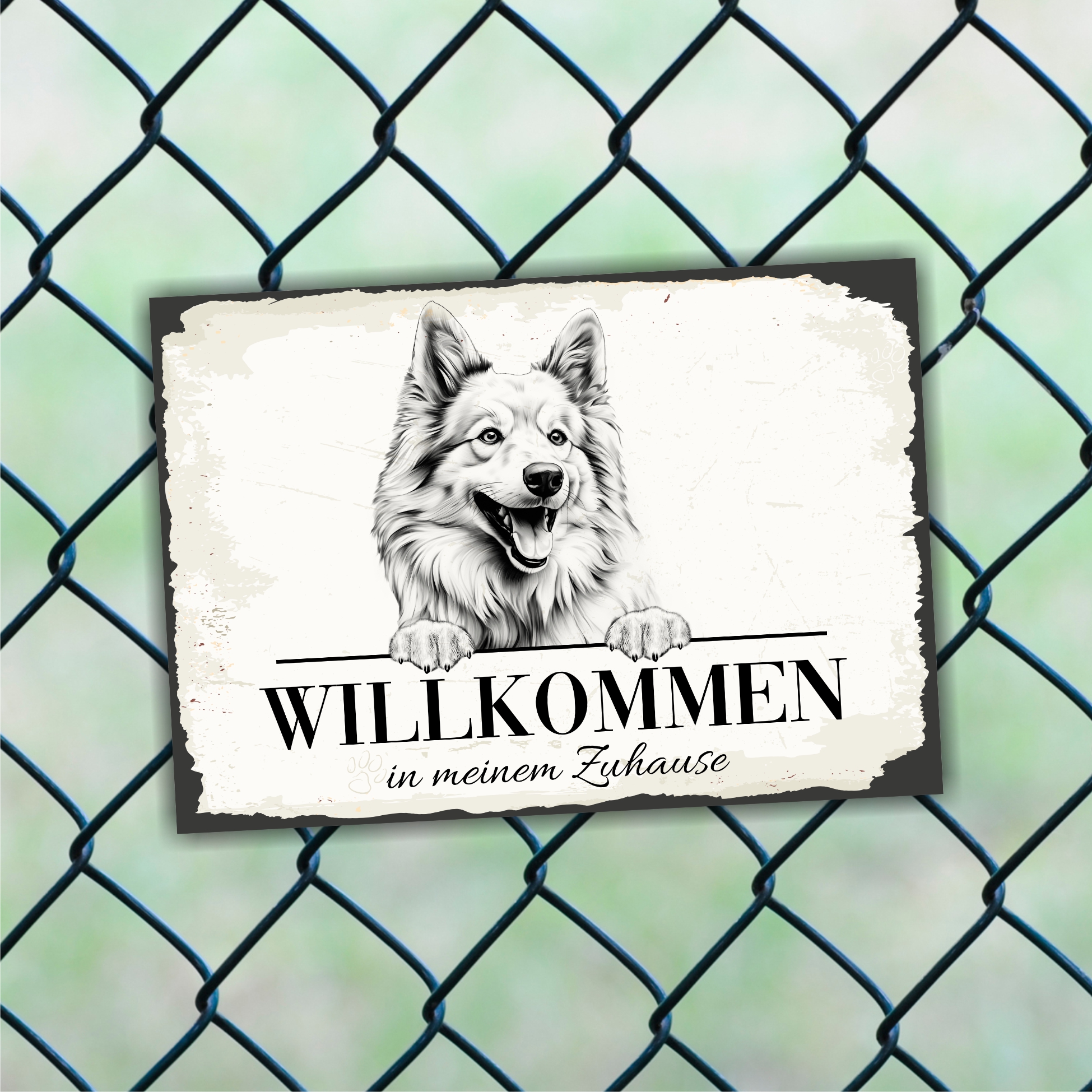 Hundeschild Willkommen Zuhause Islandhund Spitz Schild