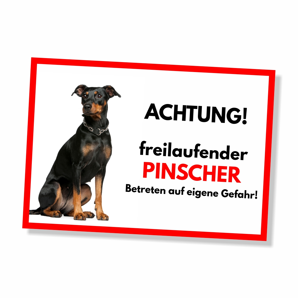 Pinscher Freilaufender Hund Dog Schild Spruch Türschild Hundeschild Warnschild
