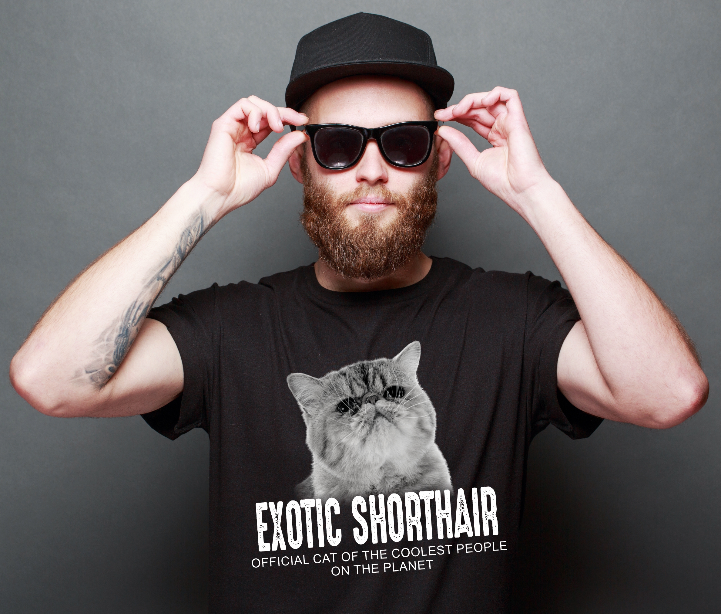Exotic Shorthair USA Katze Official Cool  Katze Cat Unisex Shirt Katzenmotiv T-Shirt