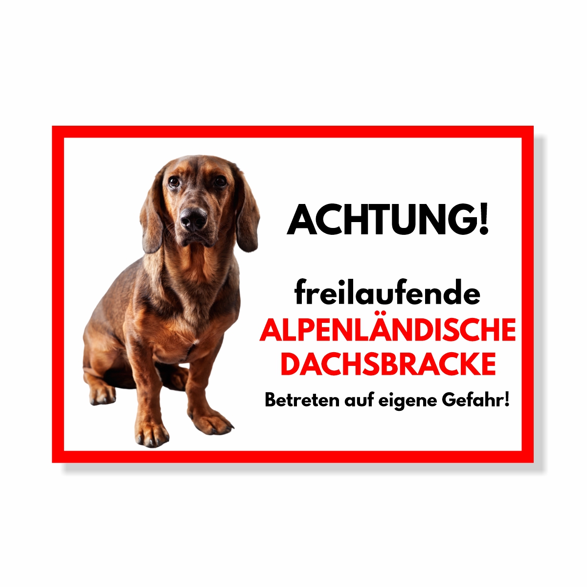 Alpenländische Dachsbracke Freilaufender Hund Dog Schild Spruch Türschild Hundeschild Warnschild