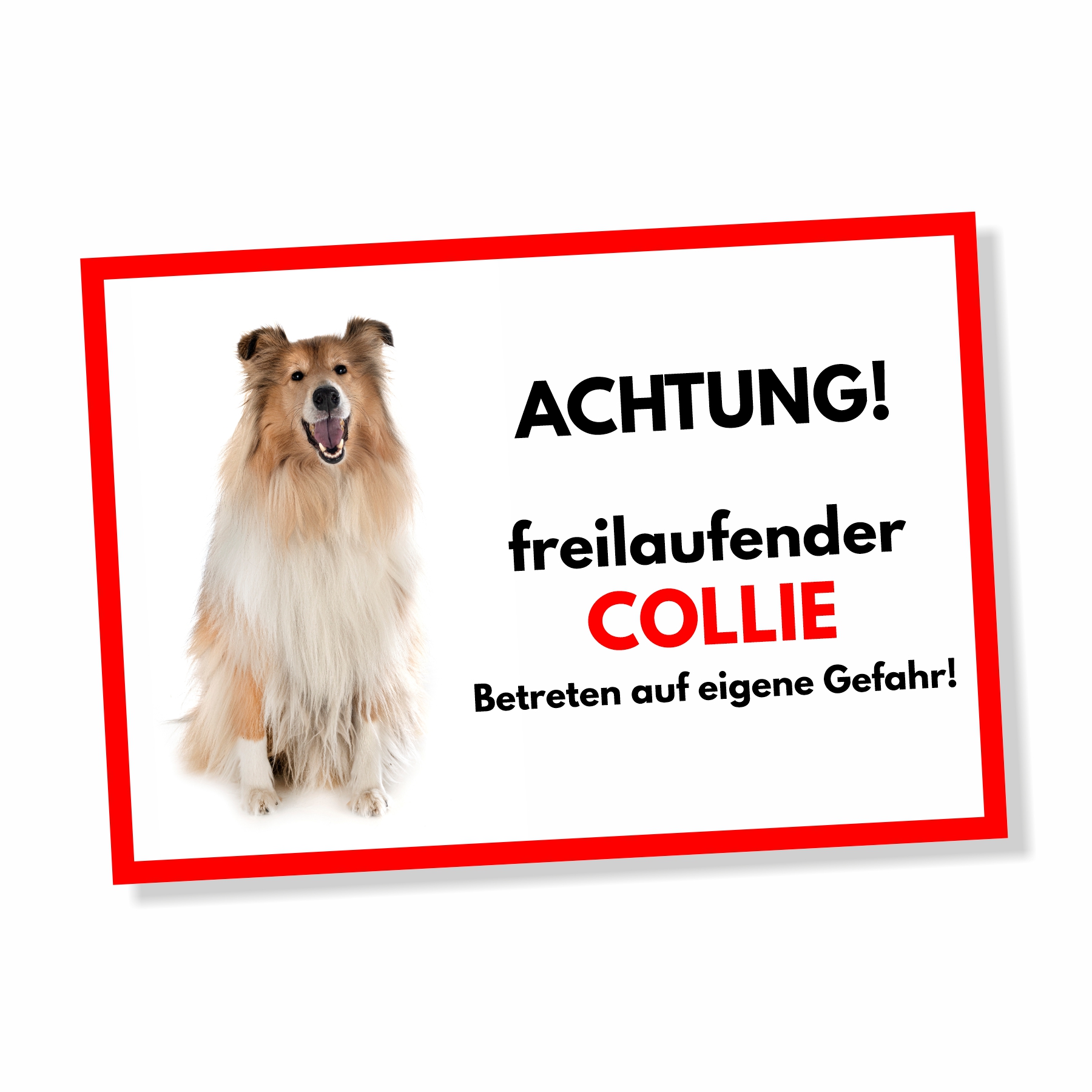 Collie Freilaufender Hund Dog Schild Spruch Türschild Hundeschild Warnschild