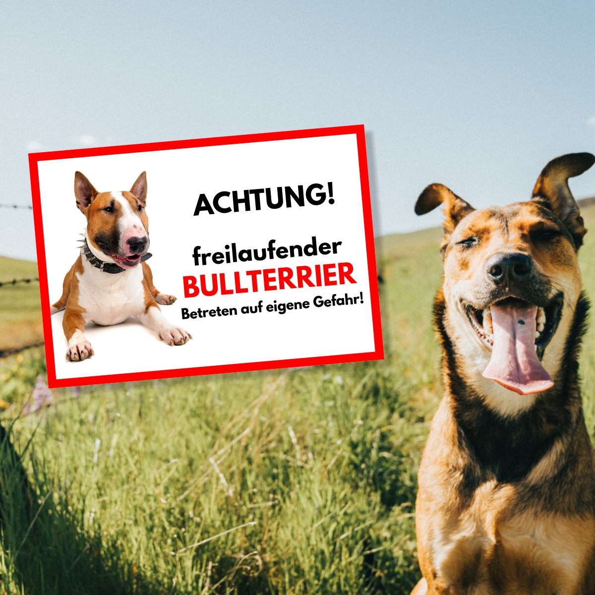 Bullterrier Freilaufender Hund Dog Schild Spruch Türschild Hundeschild Warnschild
