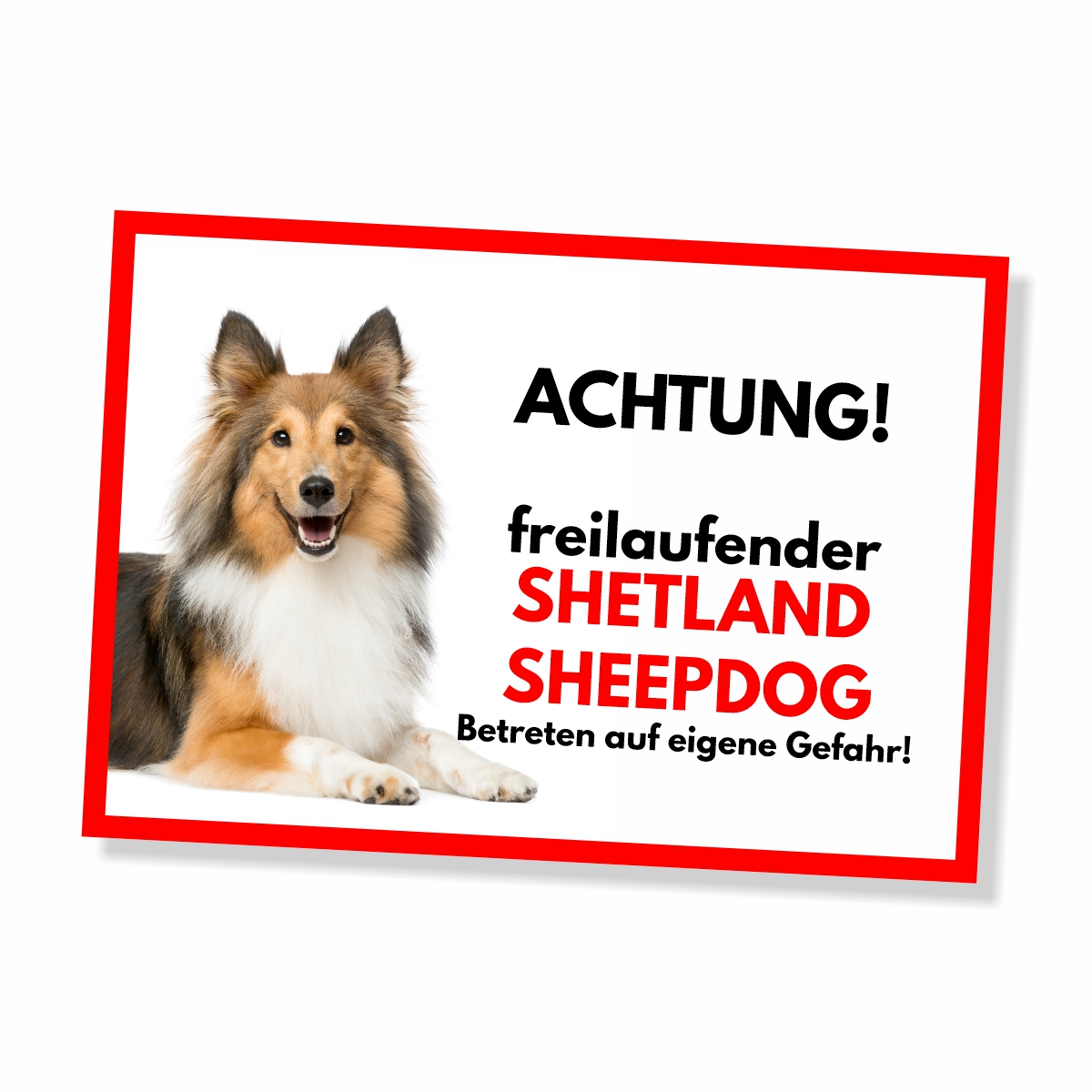 Sheltie Freilaufender Hund Dog Schild Spruch Türschild Hundeschild Warnschild
