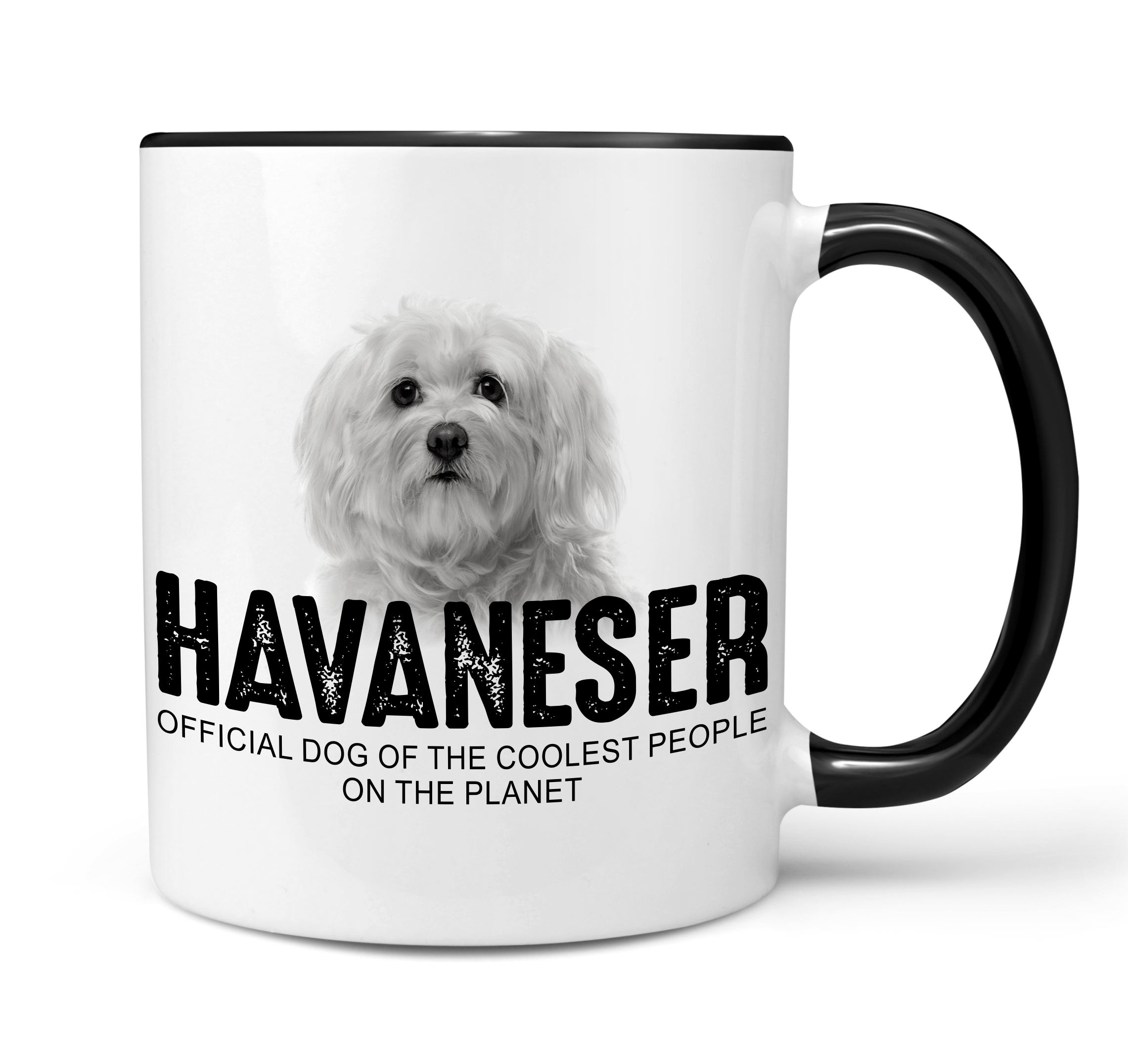 Havaneser Havanese Kuba Bichon Havana Bichon Habanero  Dog Tasse Kaffeetasse Kaffeebecher happy Design by Siviwonder