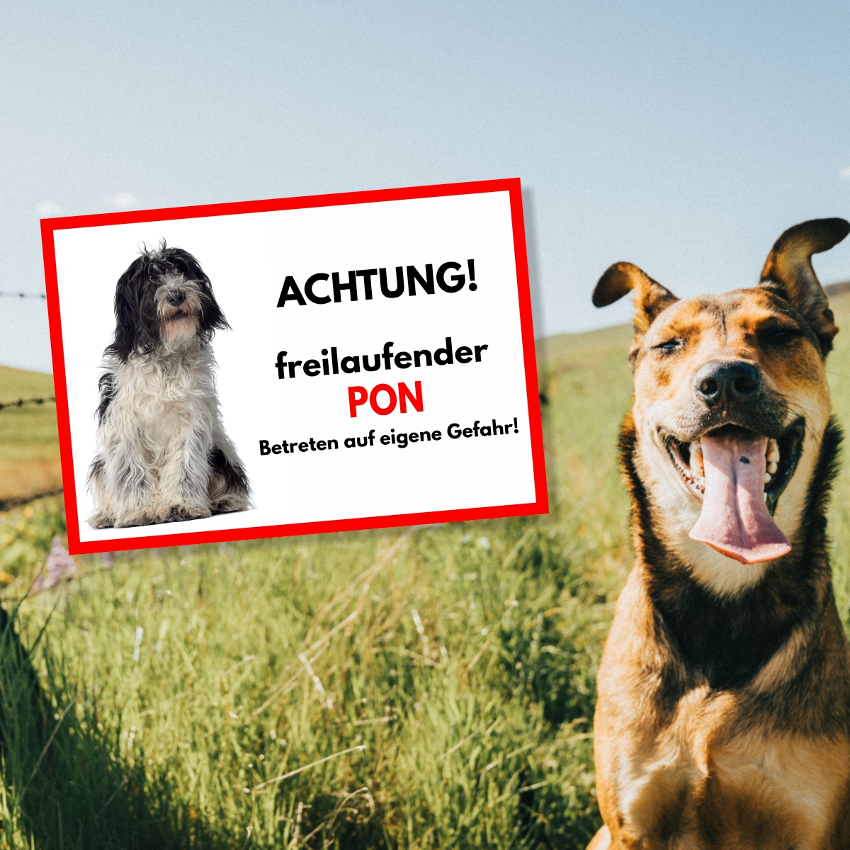 Pon Freilaufender Hund Dog Schild Spruch Türschild Hundeschild Warnschild