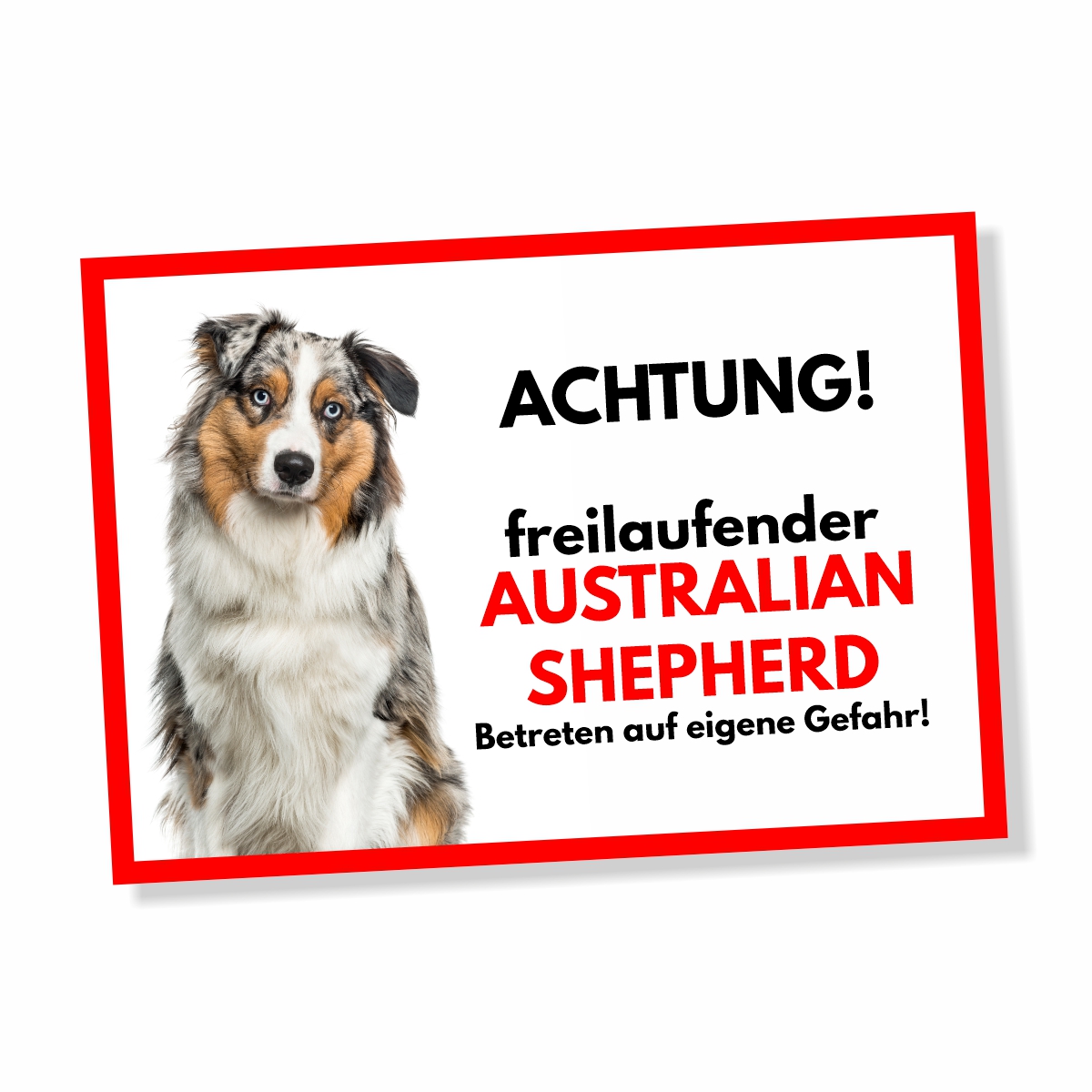 Australian Shepherd Blue Merle Freilaufender Hund Dog Schild Spruch Türschild Hundeschild Warnschild