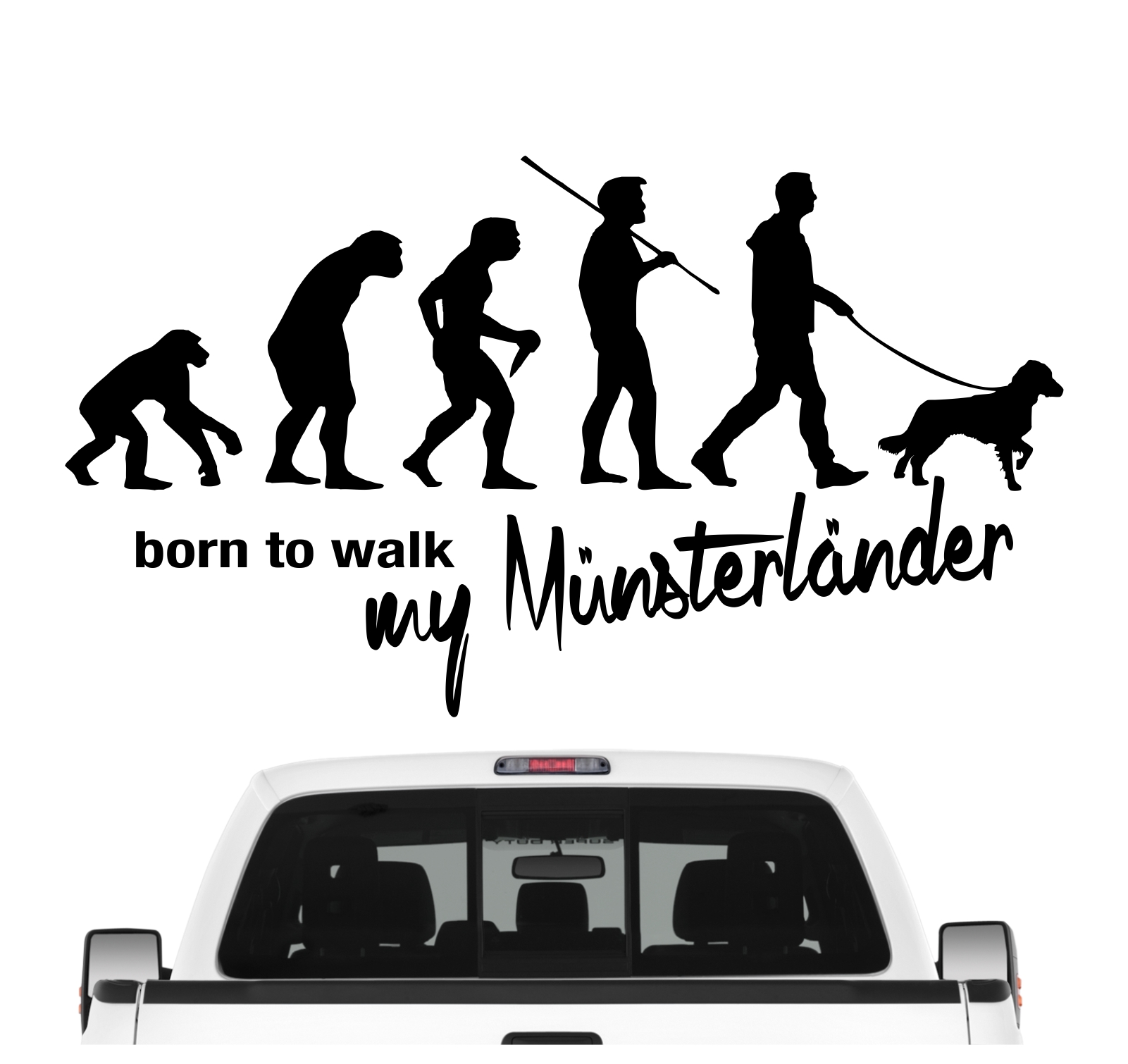 Münsterländer kleiner großer Vorstehhund Jagd Jagdhund Evolution Born to Walk Hunde Aufkleber Sticker Autoaufkleber Wandtattoo Tattoo