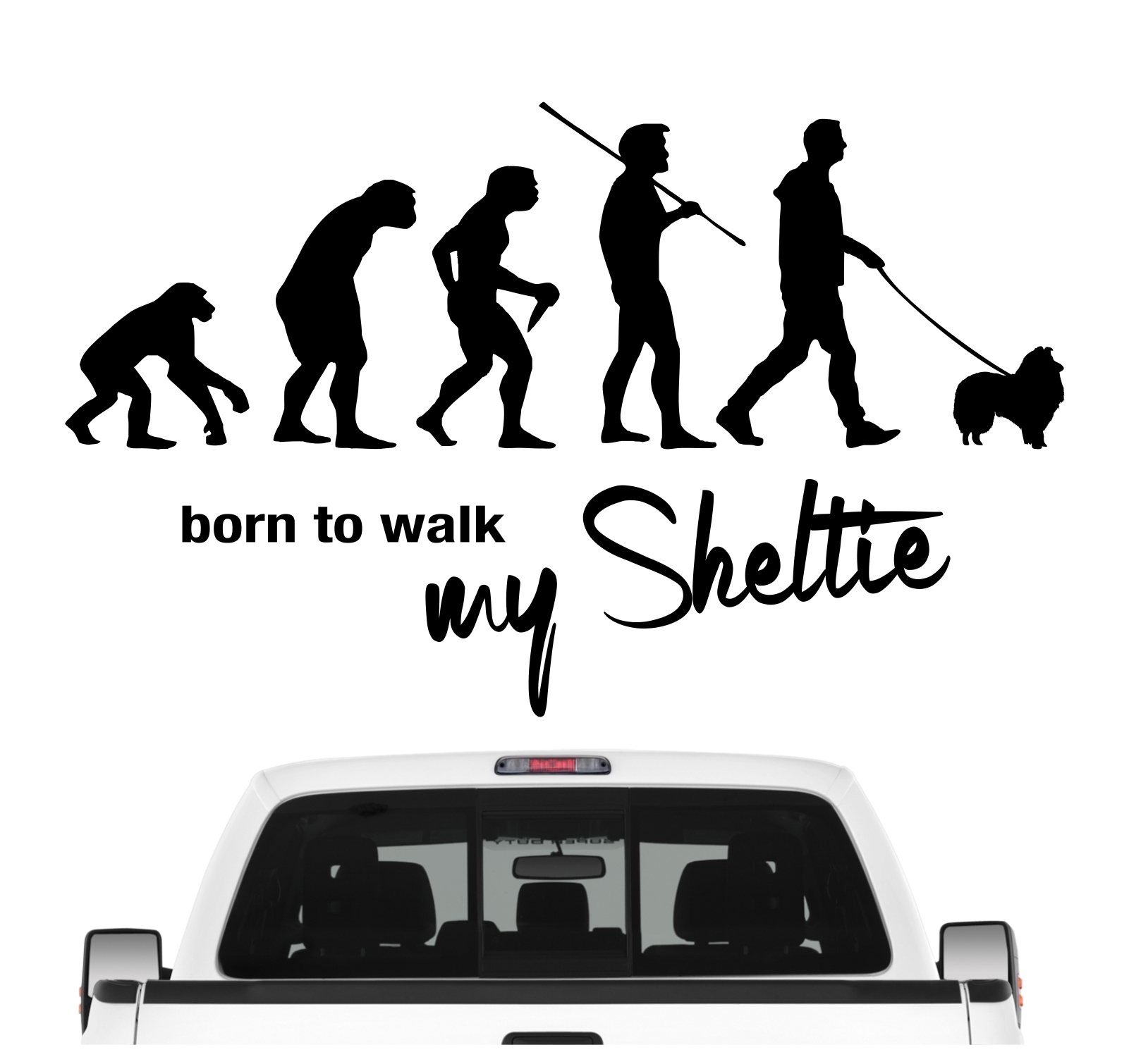 Sheltie Shetland Sheepdog Miniature Collie Dwarf Scotch Shepherd  Born to Walk Hunde Aufkleber Sticker Autoaufkleber Wandtattoo Tattoo