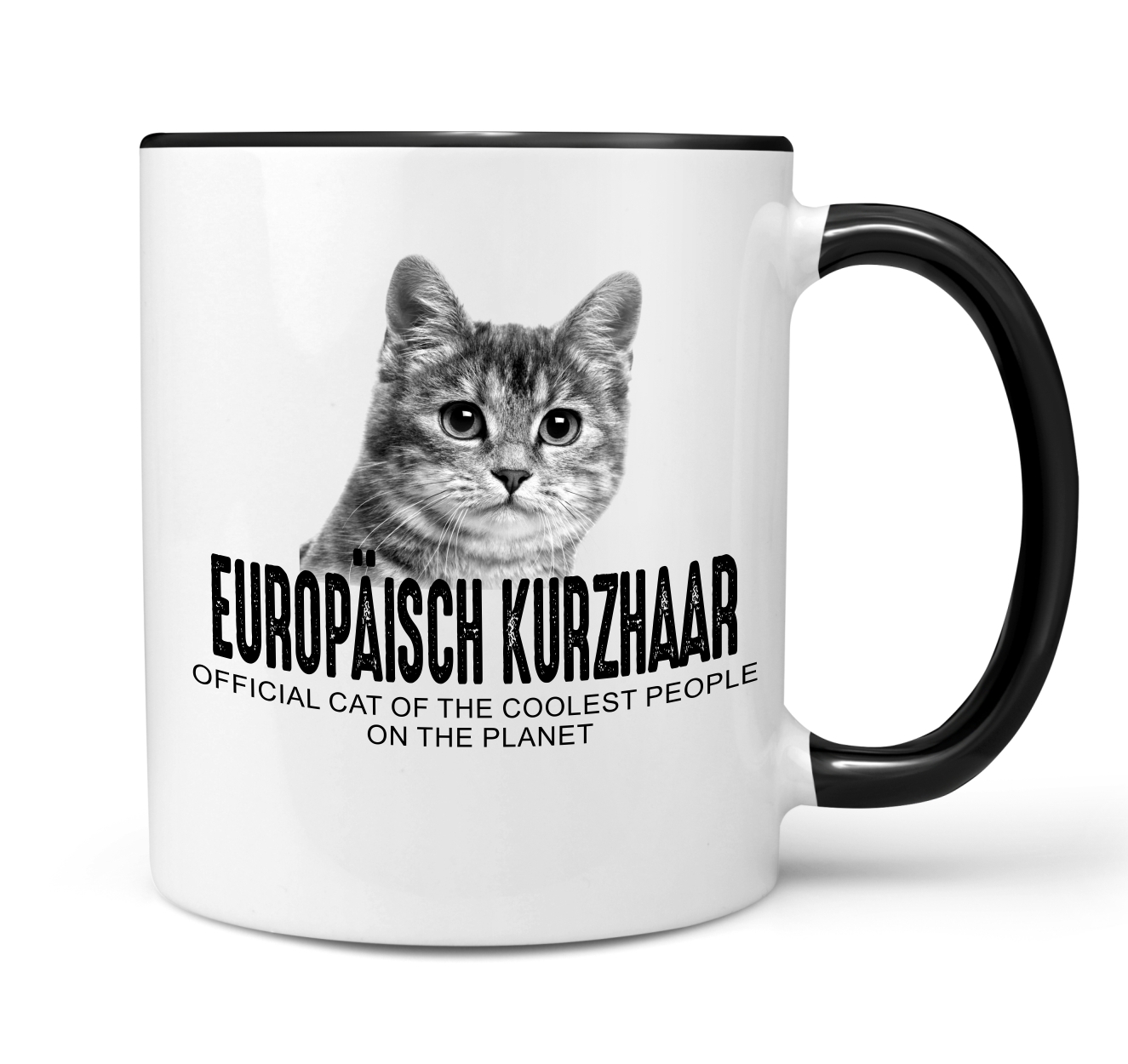 Europäische Kurzhaar European Shorthair  Official Cat cool Tasse Kaffee lustig Kaffeebecher Design