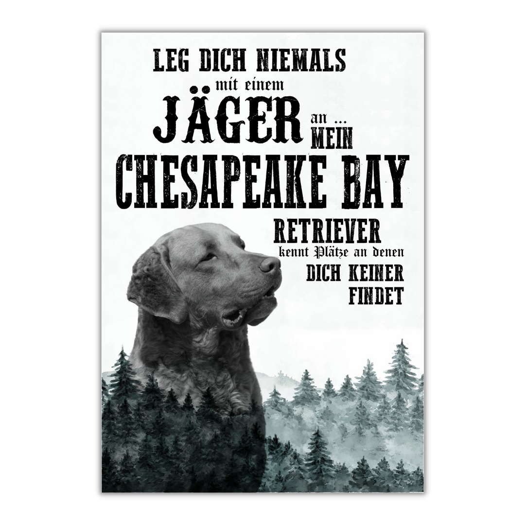 Schild CHESAPEAKE BAY RETRIEVER Dog Hund Jäger Spruch Türschild Hundeschild Jagd Jagdhund
