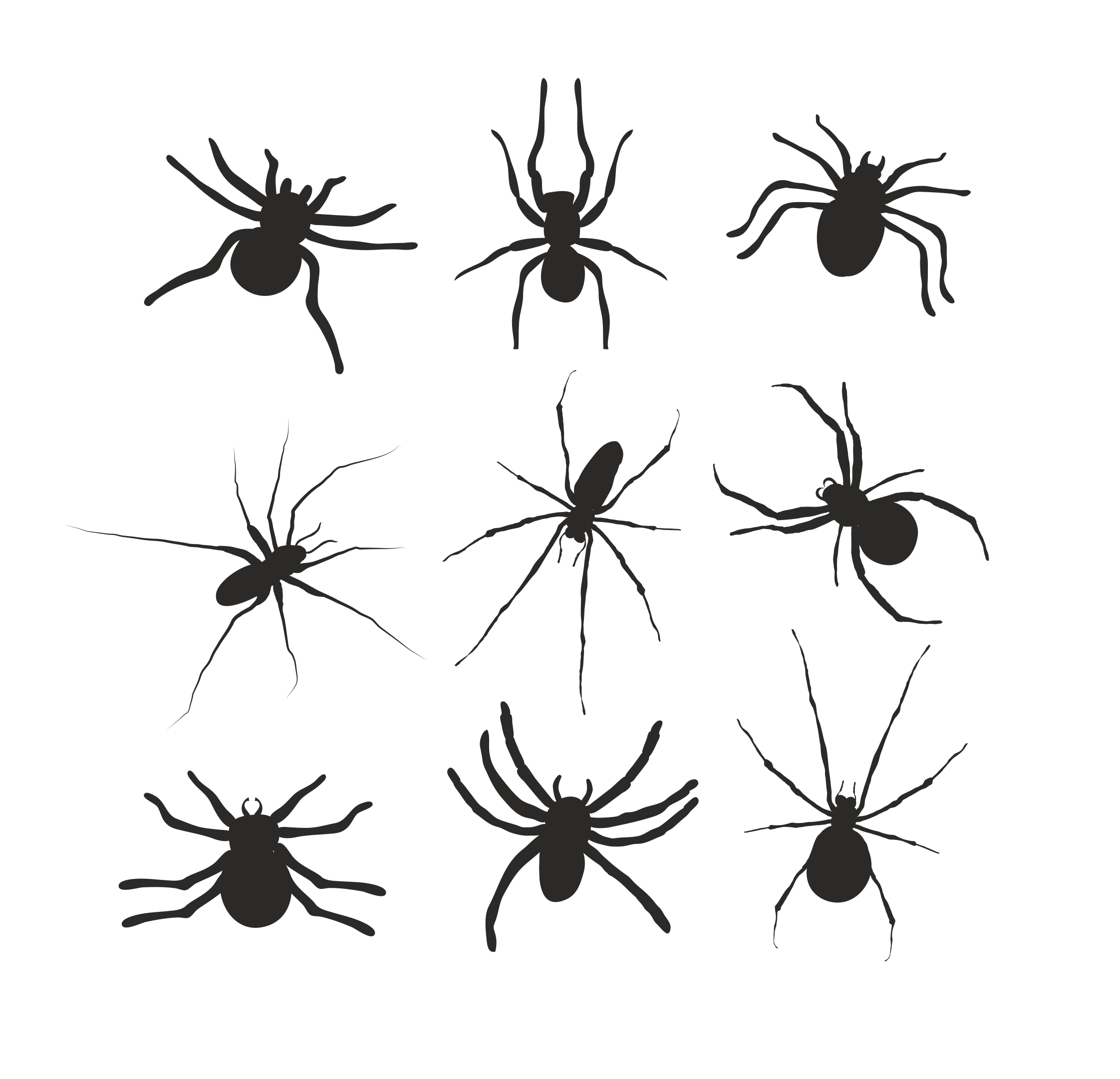 Spinnen Set Spinne Auto Aufkleber Set 9 Stück Gruselig Horror Spaß