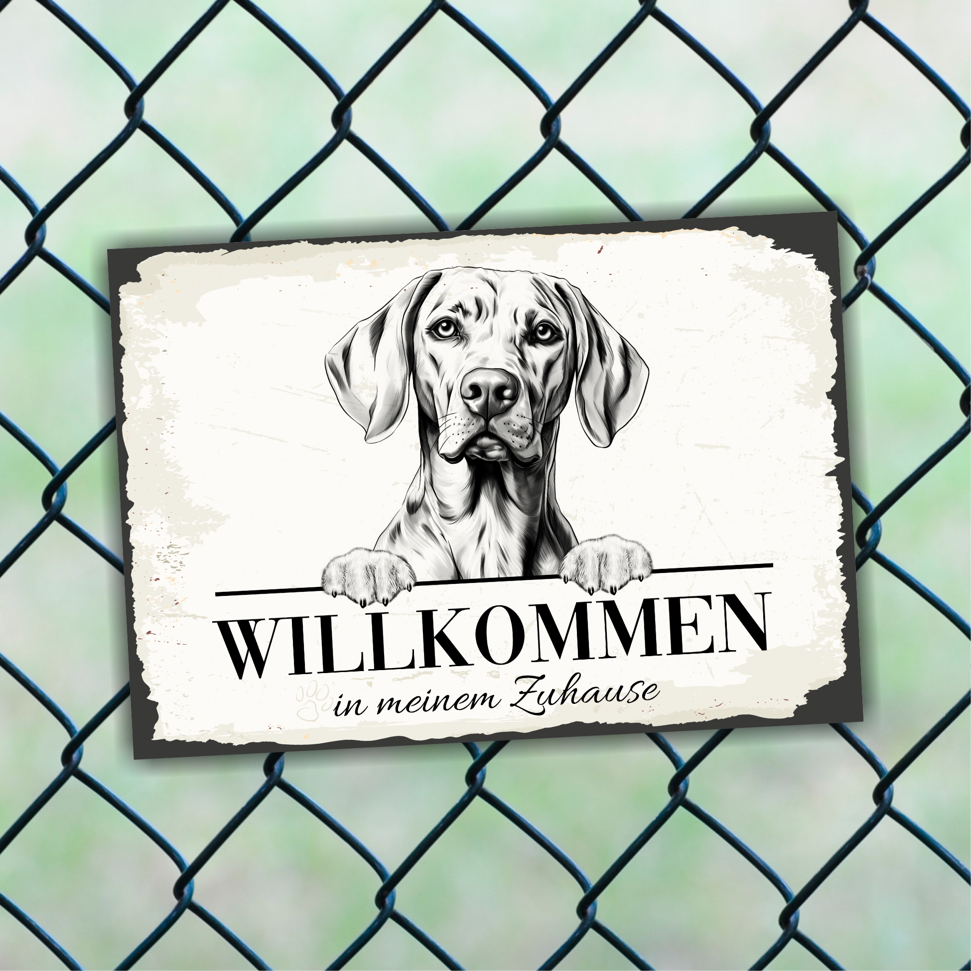 Magyar Vizsla Hundeschild Willkommen Zuhause Magyar Vizsla  Schild Achtung Spruch