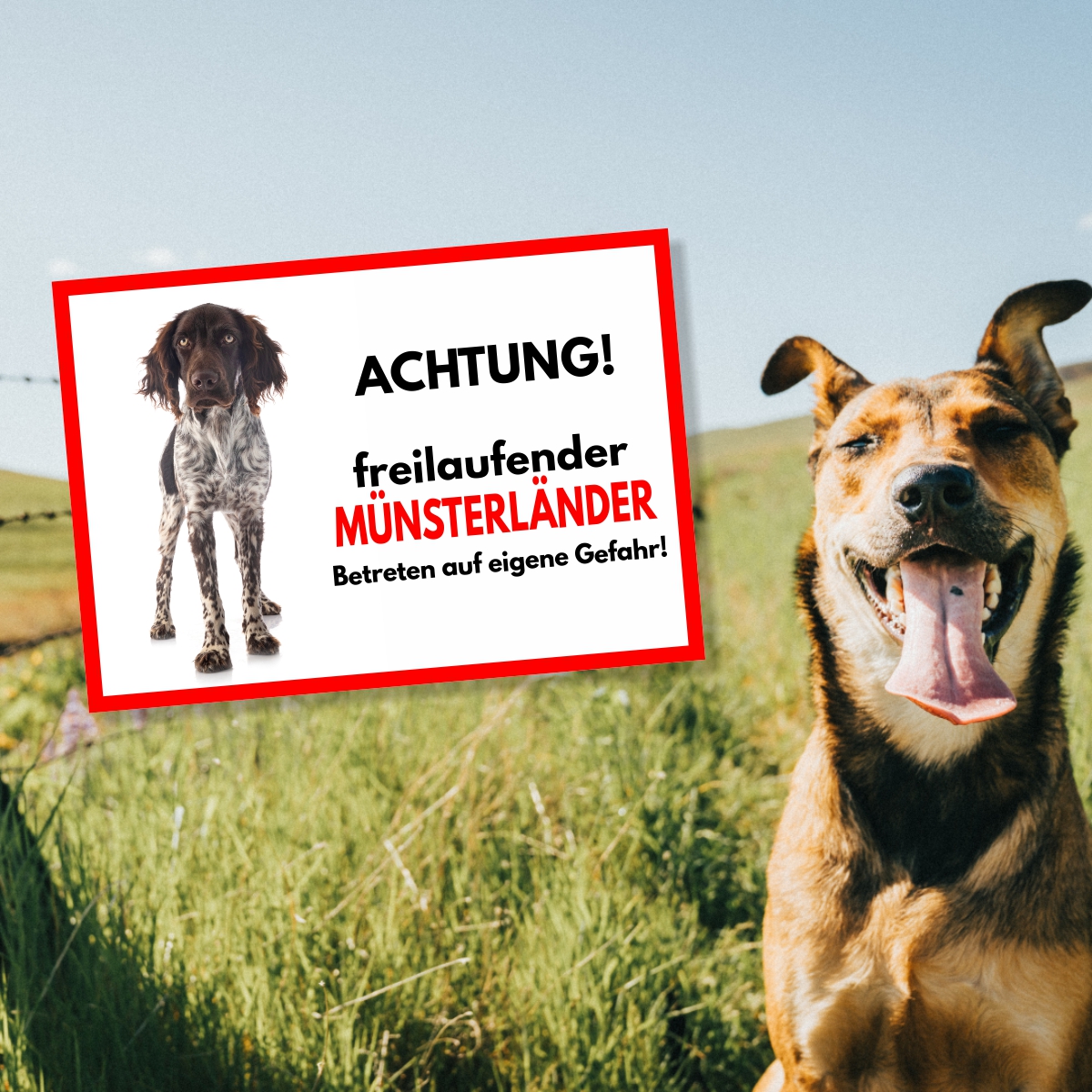 Münsterländer Freilaufender Hund Dog Schild Spruch Türschild Hundeschild Warnschild