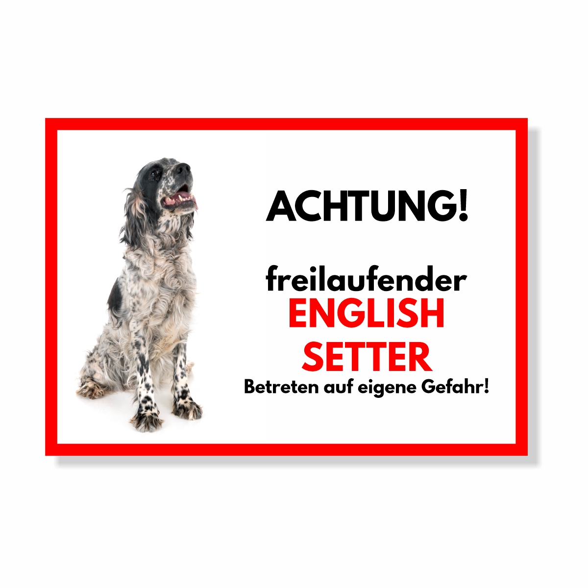 English Setter Freilaufender Hund Dog Schild Spruch Türschild Hundeschild Warnschild