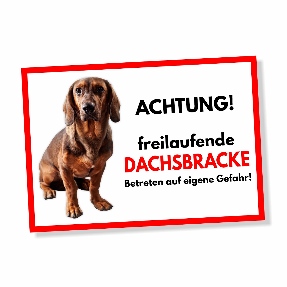 Alpenländische Dachsbracke Freilaufender Hund Dog Schild Spruch Türschild Hundeschild Warnschild