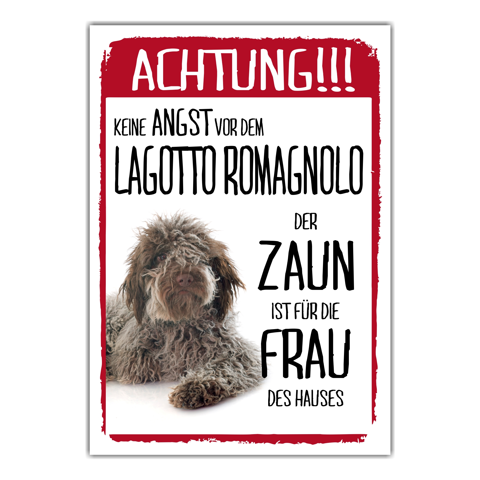 SchildZaun_Lagotto