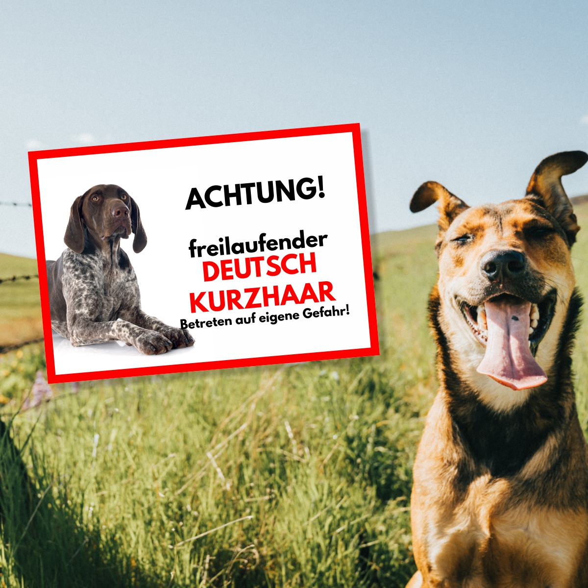 Deutsch Kurzhaar Freilaufender Hund Dog Schild Spruch Türschild Hundeschild Warnschild