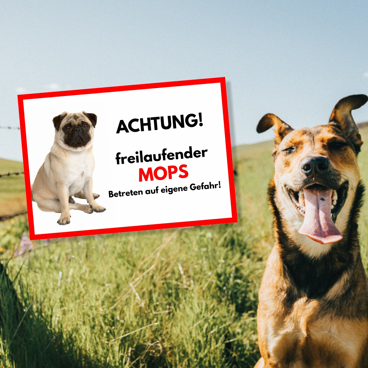 Mops Freilaufender Hund Dog Schild Spruch Türschild Hundeschild Warnschild