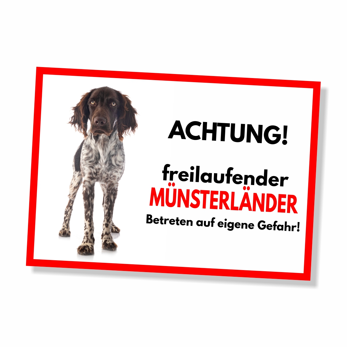 Münsterländer Freilaufender Hund Dog Schild Spruch Türschild Hundeschild Warnschild