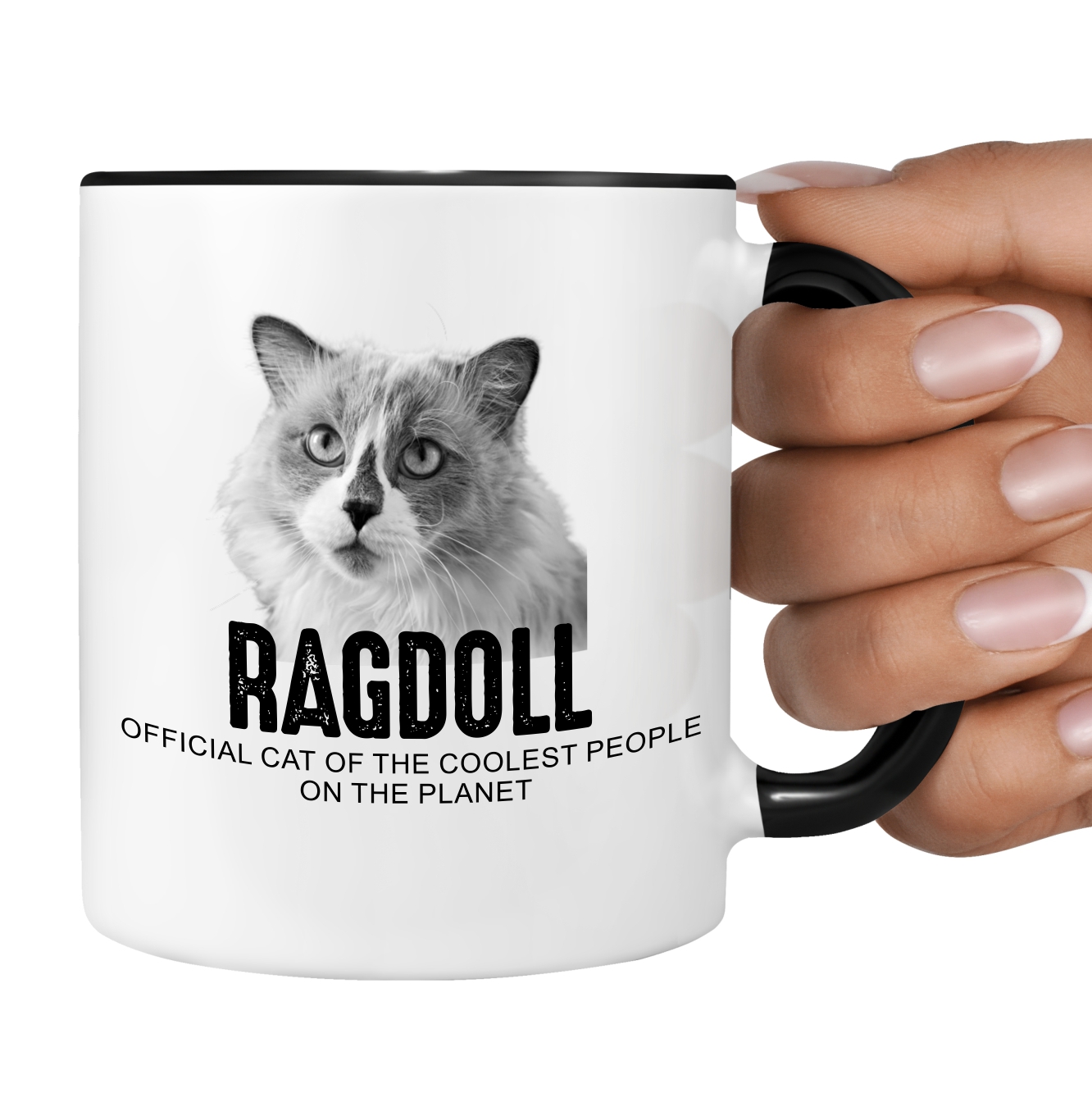 Ragdoll USA Official Cat cool Tasse Kaffee lustig Kaffeebecher Design