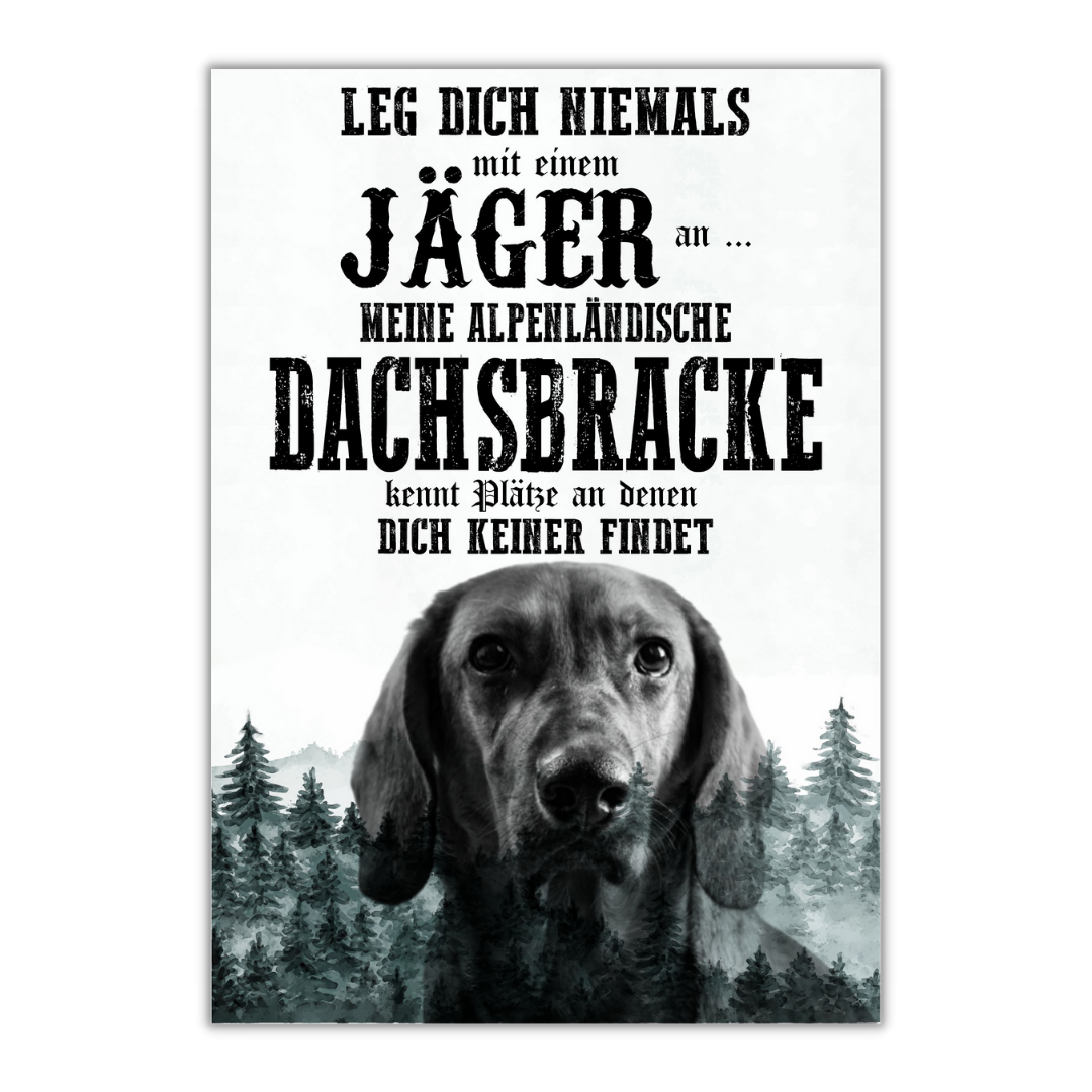 Schild ALPENLÄNDISCHE DACHSBRACKE Dog Hund Spruch Türschild Hundeschild Jagd Jagdhund