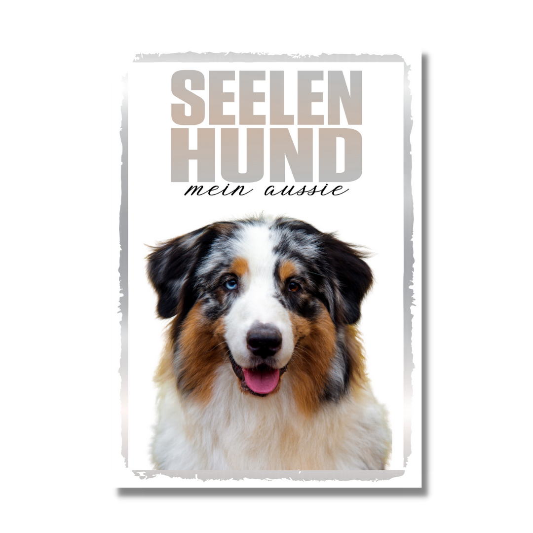 Australian Shepherd 2 Seelenhund Dog Schild Spruch Türschild Hundeschild Warnschild Soulmate